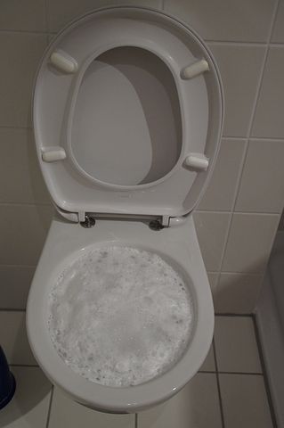 propreté toilettes
