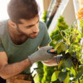 Entretenir son jardin : les outils indispensables pour un résultat professionnel