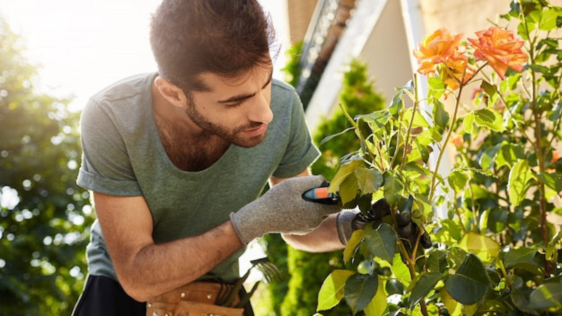 Entretenir son jardin : les outils indispensables pour un résultat professionnel